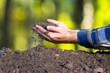 Toprak kavramı. Elleri verimli toprağı tutuyor. Toprağı kontrol ediyorum. Kirli kil ve organik gübre. Doğal toprak ile eko çiftçiliği. Humus kalitesi. Çiftçi gübre testi