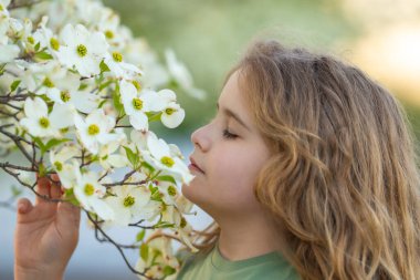 Çocuğun etrafında bahar çiçekleri var. Çiçek açan bahçede bir çocuk. Çiçeklere yakın bir çocuk yüzü. Hayalperest çocuk portresi. Açık havada çocuklar çiçek açan ağaçlarla portre yaparlar. Çocuğa ve çiçeklere yakın çekim