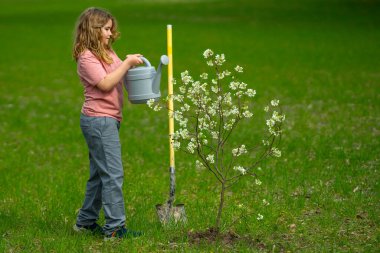Bahçeye çocuk dikme ve sulama ağacı. Ağaç dikmenin bahar etkinliği. Kürek ve su bidonlarıyla çocuk işi. Çocuk meyve ağacı dikiyor. Bahçıvan çocuklar. Çocuk yetiştirme ve ağaç bakımı