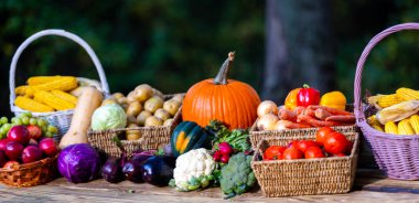 Assorted vegetables. Variety of vegetable. Mixed fruit and vegetable. Selection of vegetables on nature background. Vegetable mix assortment in basket. Set of autumn vegetables. Harvest concept