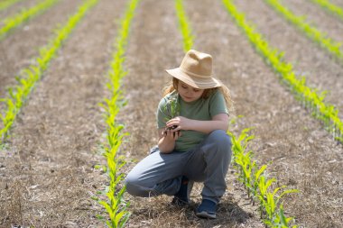 Çocuk çiftliğe yardım ediyor. Genç çiftçi mısır ekiyor. Çocuk tarlada çalışıyor. Mısır tarlasında bir çocuk. Küçük çiftçilik. Genç çiftçiler mısır yetiştiriyor. Darı filizli çocuk. Küçük çiftçi