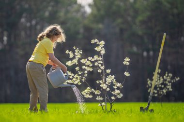 Ağaç diken bir çocuğun portresi. Çocuk bahçıvan. Bahçede çalışan bir çocuk. Çevre için büyüyen ağaç ve bakım bitkisi. Ekim mevsimi. Bitki yetiştiren bir çocuk. Bahçe işleri.