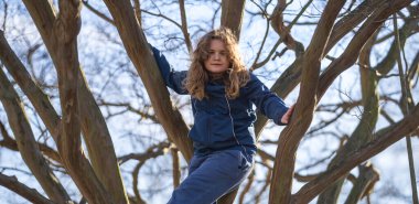 Ağaçta asılı duran bir çocuk. Aktif çocuk. Parktaki ağaçlara tırmanan bir çocuk. Ağaç gövdesine sarılan mutlu çocuk. Çocuk güneşli bir bahar gününün tadını çıkarıyor. Çocuk bir ağaç dalında oynuyor. Ağaç dalına tırmanan gülümseyen çocuk