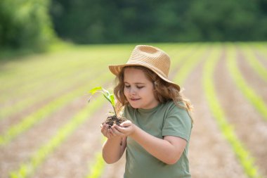Çocuk çiftliğe yardım ediyor. Genç çiftçi mısır ekiyor. Çocuk tarlada çalışıyor. Mısır tarlasında bir çocuk. Küçük çiftçilik. Genç çiftçiler mısır yetiştiriyor. Darı filizli çocuk. Küçük çiftçi