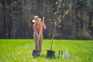 Kürekle ağaç yetiştiren çocuk. Arka bahçede ağaç yetiştiren çocuk. Bahar tarlasında ağaç yetiştiren çocuk. Sulama kutusu ve küreği olan küçük bir bahçıvan. Bahçede ağaç yetiştiren çocuk