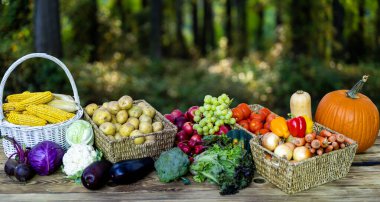 Eko çiftliğinden toplanan taze sebzeler. Sepet dolusu çiğ sebze.