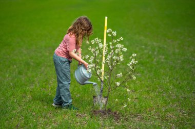 Bahçede mutlu çocuk yetiştirme ve sulama ağacı. Bitkilerin bahar etkinliği. Çocuk kürek ve su bidonuyla çalışıyor. Çocuk meyve ağacı dikmiş. Bahçıvan çocuklar. Çocuk yetiştirme bitkisi ve ağaç bakımı