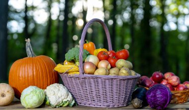Taze çiğ sebze ve meyve. Yeşil çiftlikte taze sebze seçimi. Pazar için meyve ve sebze topladım. Sepetin içine sebze koy. Renkli sebze hasadı
