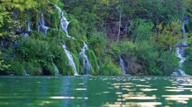 Şelaleli güzellik. Şelaleler yemyeşil bir ormandan akar. Şelalelerin doğa melodisi ve kuş ötüşü. Yaz cennetinde ferahlatıcı bir şelale. Doğanın kalbindeki dalgalı şelaleler