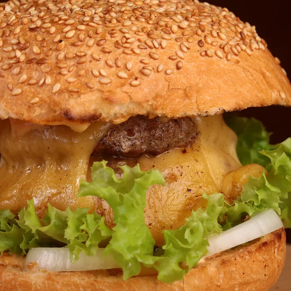 Leckerer Burger — Stockfoto