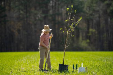 Kürekle ağaç yetiştiren çocuk. Arka bahçede ağaç yetiştiren bir çocuk. Bahar tarlasında ağaç yetiştiren çocuk. Sulama kutusu ve küreği olan küçük bir bahçıvan. Bahçe çiftliğinde ağaç yetiştiren çocuk. Çocuklar çalışır.