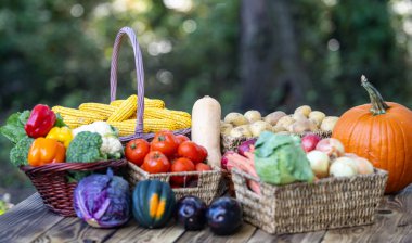 Meyve ve sebze hasat et. Çiftlikte doğal olarak sebzeler yetişiyor. Tahta bir sepetin içinde taze meyve ve sebze hasadı. Taze mevsimlik sebzeler