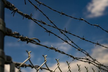 Mavi gökyüzüne karşı dikenli tel. Keskin metal tel güçlü bir güvenlik bariyeri oluşturur. Dikenli teller. Bükülmüş çelik tel