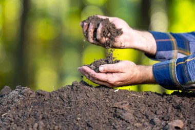 Toprak kavramı. Elleri verimli toprağı tutuyor. Toprağı kontrol ediyorum. Kirli kil ve organik gübre. Doğal toprak ile eko çiftçiliği. Çiftçi humusa tohum ekiyor. Çiftçi humus gübresi test ediyor