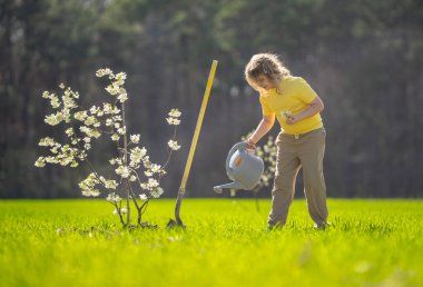 Ağaç diken bir çocuğun portresi. Çocuk bahçıvan. Bahçede çalışan bir çocuk. Çevre için büyüyen ağaç ve bakım bitkisi. Ekim mevsimi. Bitki yetiştiren bir çocuk. Bahçe işleri.