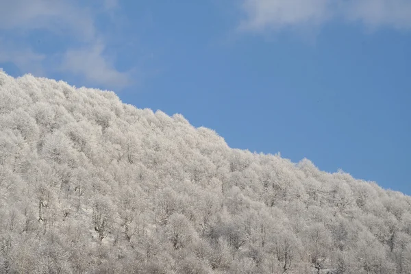 美しい冬の風景 — ストック写真