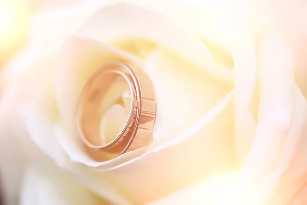 Wedding rings on flower — Stock Photo, Image