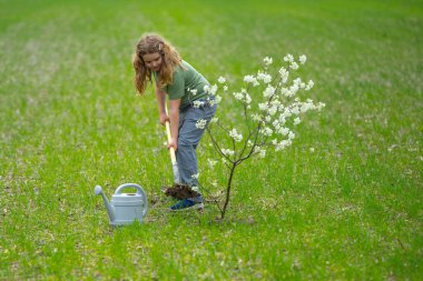Child planting a tree in garden. Kids grow up fruit tree. Kid gardener with shovel. Child work in orchard with blooming trees. Children planting trees in backyard. Young farmer caring for trees