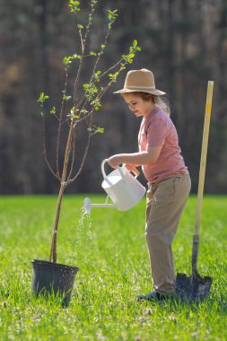 Kürekle ağaç yetiştiren çocuk. Arka bahçede ağaç yetiştiren çocuk. Bahar tarlasında ağaç yetiştiren çocuk. Sulama kutusu ve küreği olan küçük bir bahçıvan. Bahçede ağaç yetiştiren çocuk