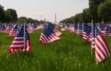 USS bayrak geçmişi. Amerikan bayrağı dalgalanıyor. 4 Temmuz 'da kutlama. Bağımsızlık Günü. Çimlerin üzerinde Amerikan bayrakları. Amerikan bayrağı. Anma Günü. Amerikan bayrakları. Parkta Birleşik Devletler bayrakları