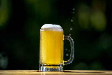 Taze mayalanmış köpüklü bira. Yaz doğasında bira kupası. Doğal arka planda köpüklü kehribar birası.