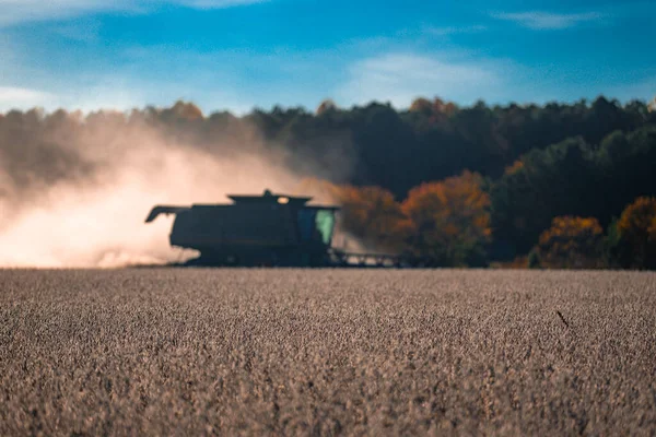 Saman ve tahıl hasadı. Buğday tarlasında hasatçıyı birleştir. Kırsal kesimde hasat. Hasat makinelerini birleştirin. Tarımsal Kombine hasat makinesi iş başında. Kırsal alan, hasat makinesiyle birleşiyor.