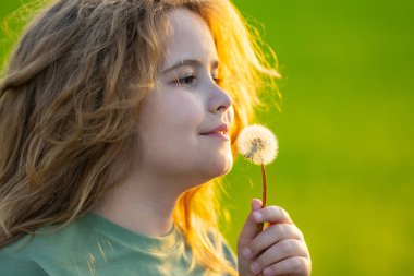 Çocuk portresi, yakın plan. Karahindibalı çocuk. Çocuk özgür ve kaygısız. Karahindiba çocuk yüzüne yakın. Çocukların özgürlüğü. Çocuklar rüya görüyor.