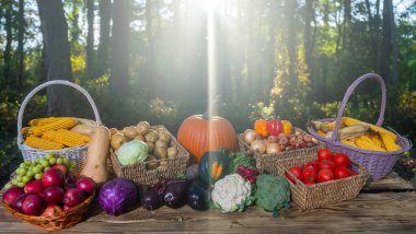 Taze çiğ sebze ve meyve. Yeşil çiftlikte taze sebze seçimi. Pazar için meyve ve sebze topladım. Sepetin içine sebze koy. Renkli sebze hasadı