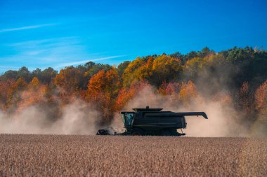 Buğday tarlasında hasatçıyı birleştir. Kırsal kesimde hasat. Hasat makinelerini birleştirin. Tarımsal Kombine hasat makinesi iş başında. Kırsal arazide hasat makinası var. Toprak sürme ve yetiştirme