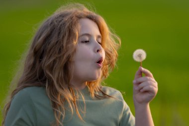 Çocuk karahindiba üflüyor. Çocuk sahada karahindiba ile oynuyor. Çocuk rüya görür. Çocuk kaygısızlıktan zevk alıyor ve karahindiba tohumları saçıyor. Çocukların özgürlüğü. Çocuk karahindiba üflüyor. Çocuklar rüya görüyor.