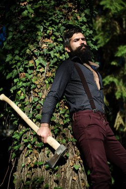 Ormandaki erkek logger