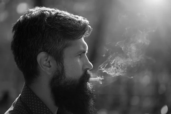 Rookvrije man in het bos — Stockfoto