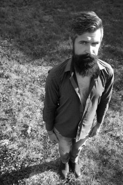 Sakallı adam Üstten Görünüm