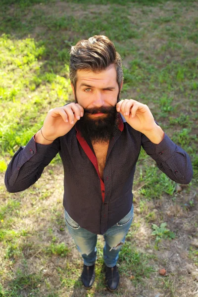 Vista superior del hombre con barba —  Fotos de Stock