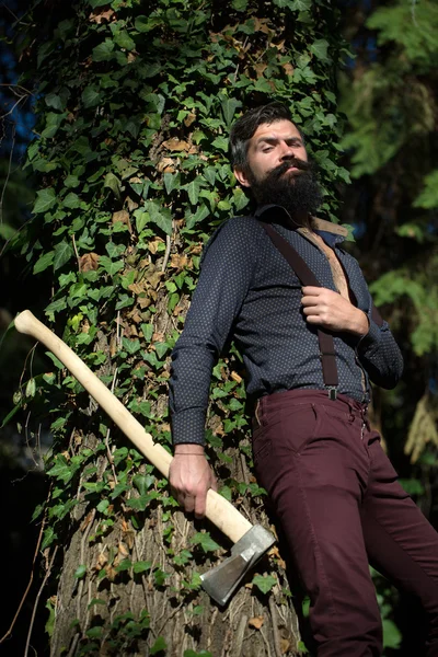 Male logger in forest — Stock Photo, Image