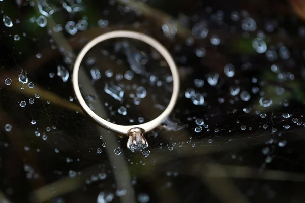 Wedding golden ring — Stock Photo, Image