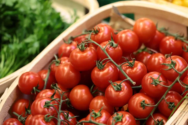 Lug-boxes of cherry tomatoes parsley and dill — Stock Photo, Image