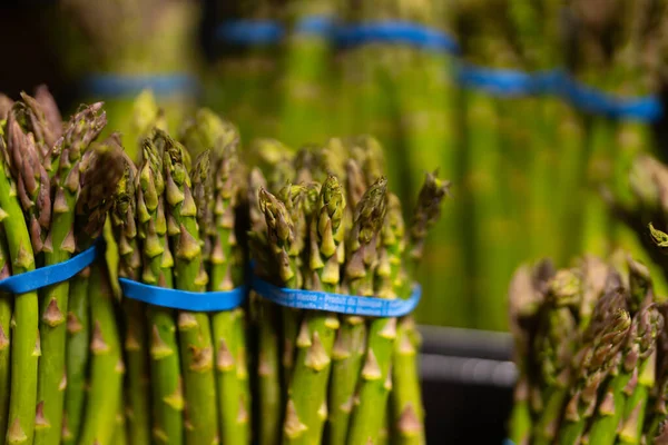 Taze yeşil kuşkonmaz paketleri sağlıklı yemek için hazır. Doğal çiftlik hasadında sergilenen organik kuşkonmaz. Çiğ kuşkonmaz mızrakları taze doku ve canlı rengi gösteriyor. Yeşil kuşkonmaz
