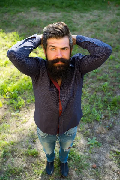 Vista superior del hombre con barba —  Fotos de Stock