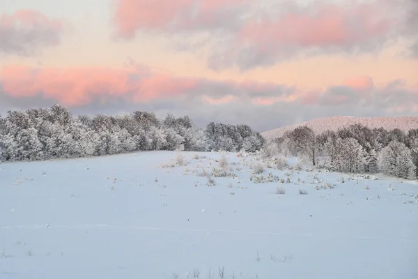 Hermoso paisaje de invierno —  Fotos de Stock