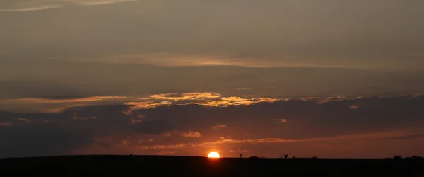 Πανοραμική εικόνα του όμορφο ηλιοβασίλεμα στο πεδίο — Φωτογραφία Αρχείου