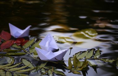 Renkli su yapraklarda