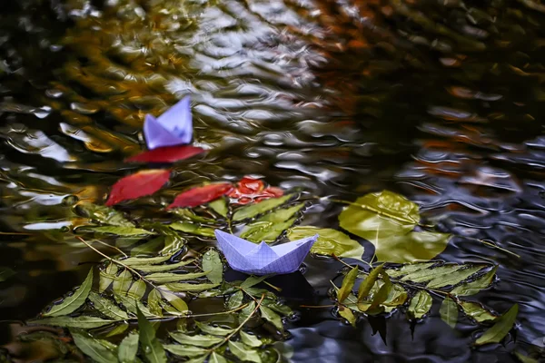 Bunte Blätter auf dem Wasser — Stockfoto