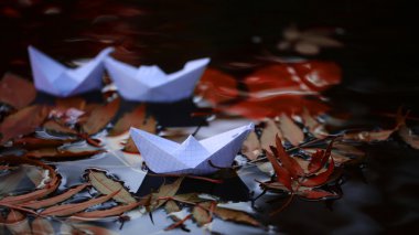 Renkli su yapraklarda