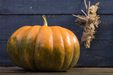 Still-life pumpkin and voodoo doll