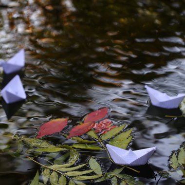 Renkli su yapraklarda