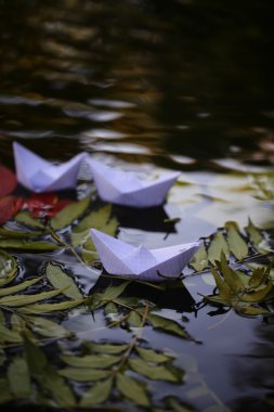 Renkli su yapraklarda