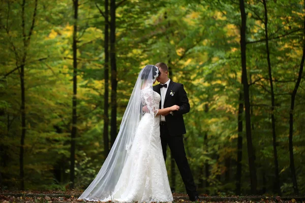 Joven pareja de boda — Foto de Stock