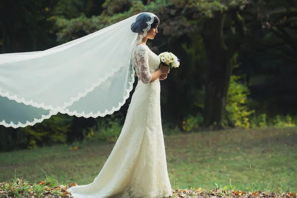 Joven novia en el bosque — Foto de Stock