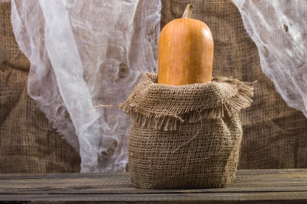 Gourd in sackcloth — Stok fotoğraf
